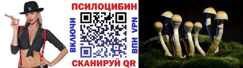 Галлюциногенные грибы GOLDEN TEACHER Купить Котельнич