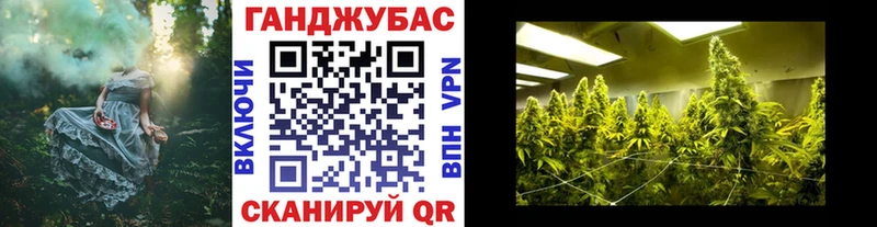 Канабис семена  Купить закладки  Котельнич 